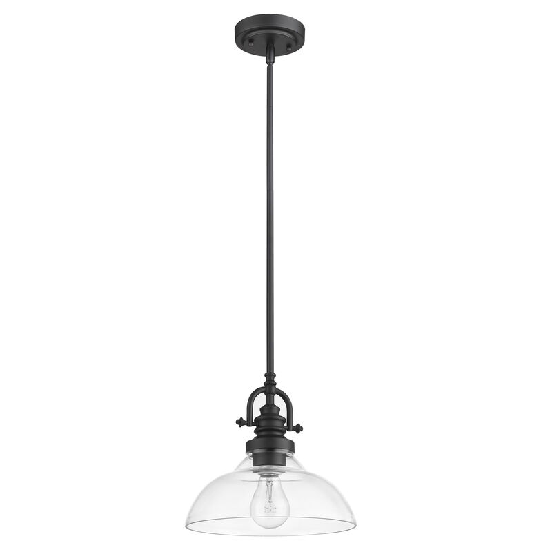 Hivvago Matte Black Hanging Light with Glass Dome Shade