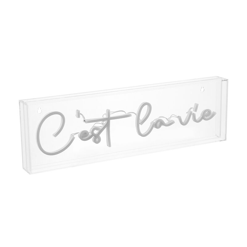 C'est La Vie 20" X 6" Contemporary Glam Acrylic Box USB Operated LED Neon Light