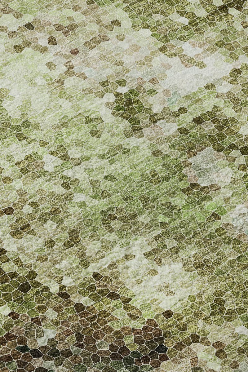 Lumara LM2 Collection image number 7