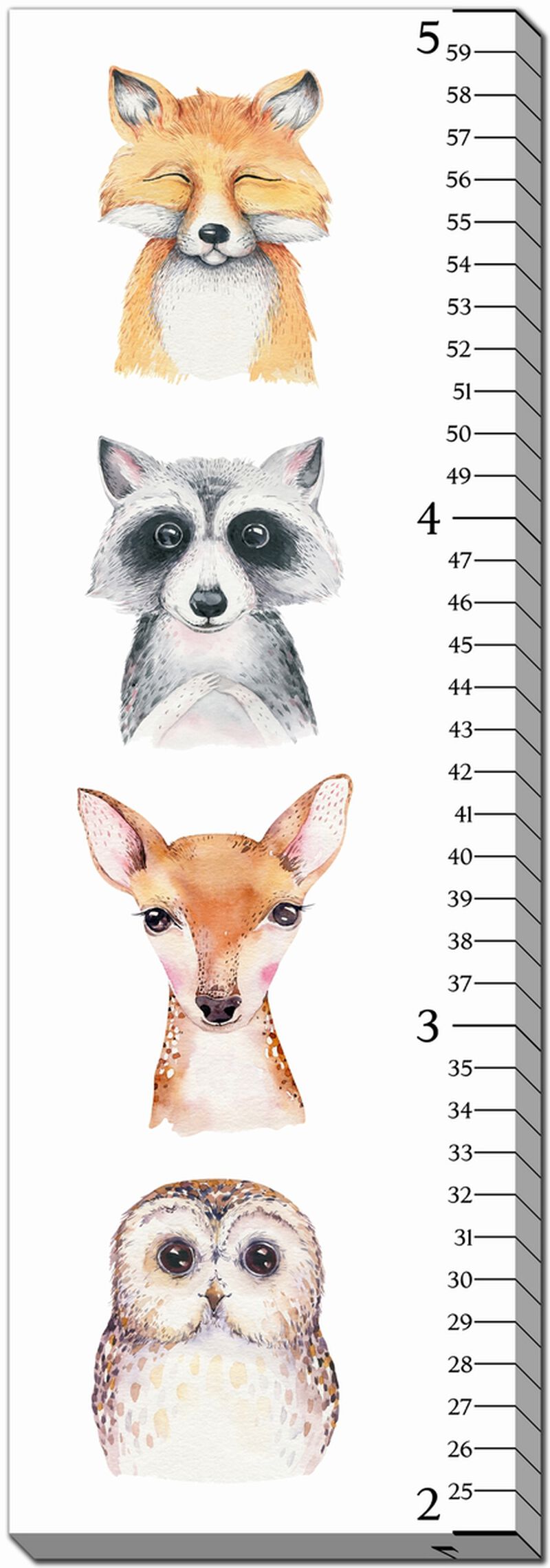 Forest Animals Growth Chart