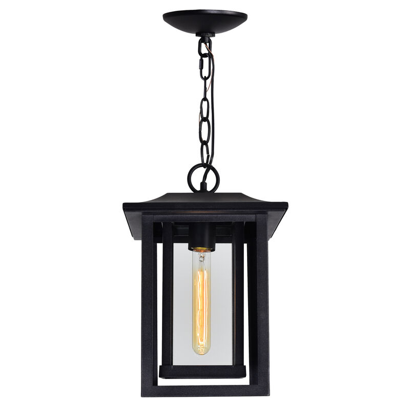 Winfield 1 Light Black Outdoor Hanging Light