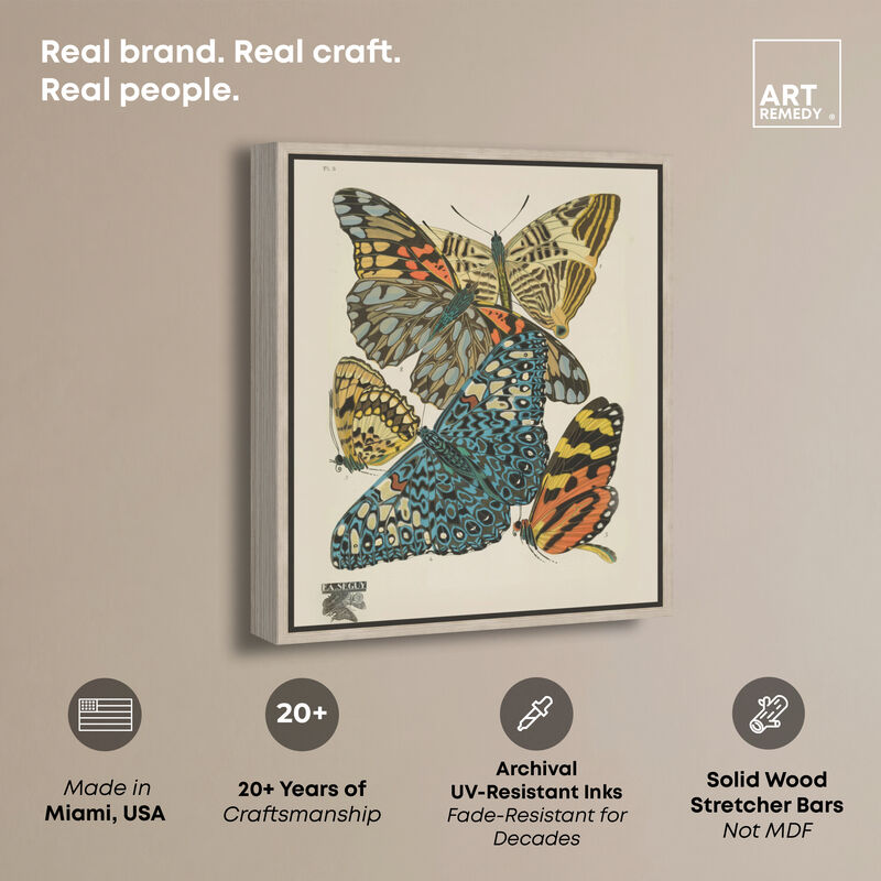 Butterflies In Spots Animals Canvas Print by Art Remedy image number 2