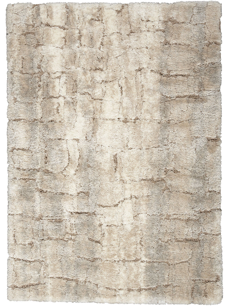 Dreamy Shag DRS09 Ivory/Beige 4' x 6' Rug