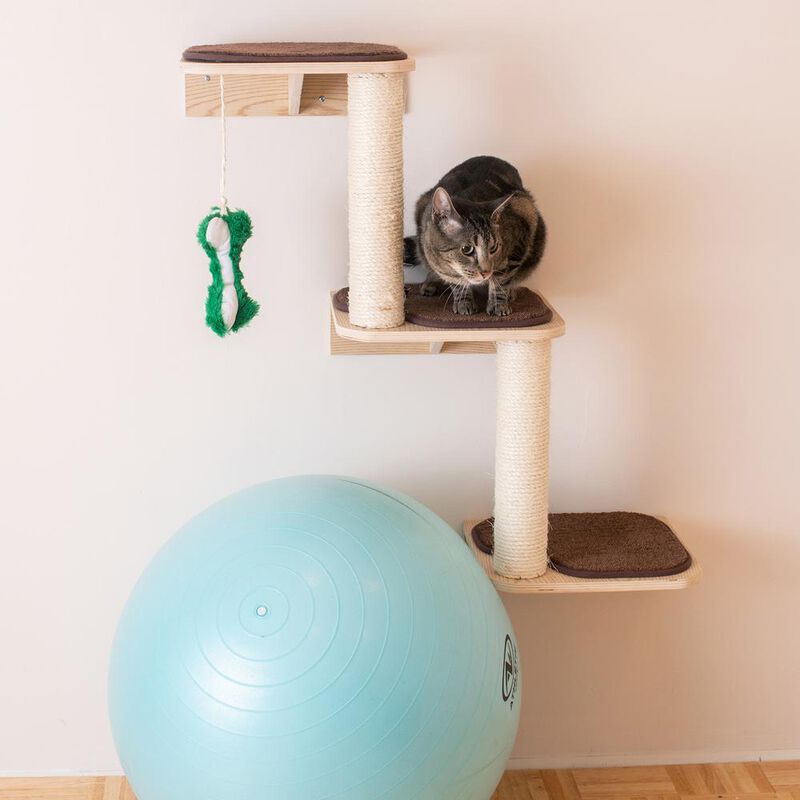 Armarkat Real Wood Wall Series: Steps