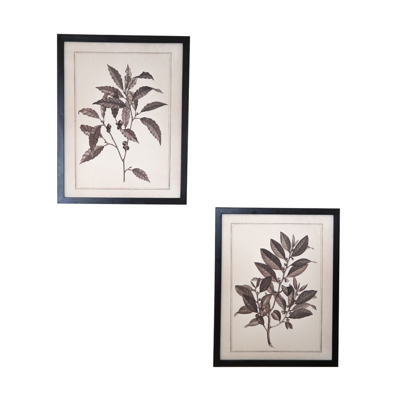 HomeRoots Set of Two Black And White Flower Framed Art image number 0