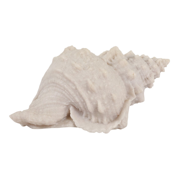 10x5x5 Resin Sand Cong Shell