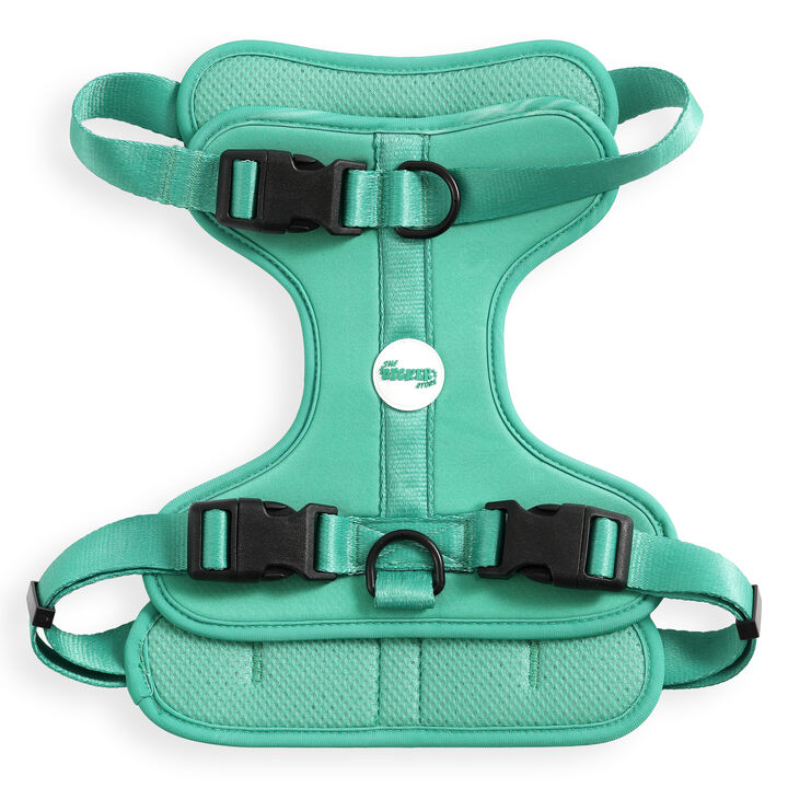 Arlo Adjustable Soft Padded No Pull Pet Harness with 3 Buckles and 3 Leash Clips