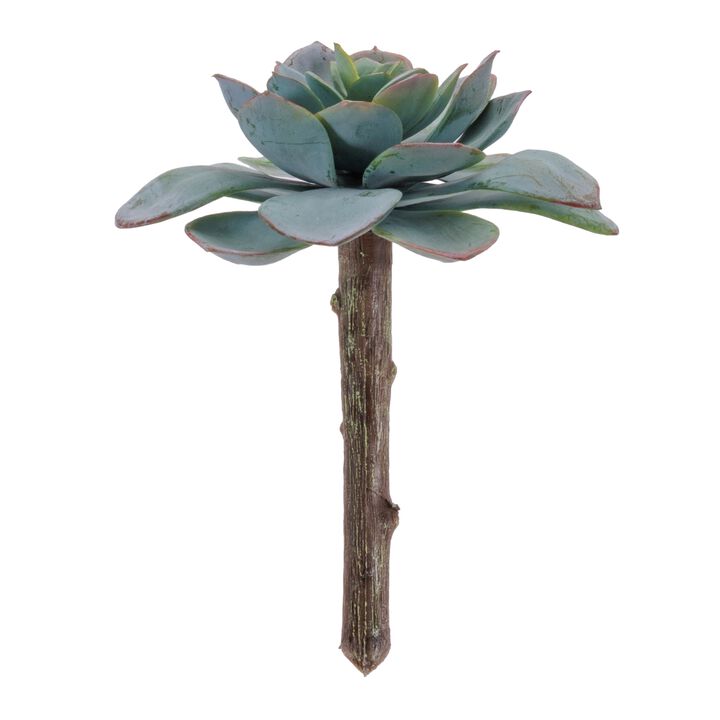 Succulent Plant Picks Set of 12 for Home Styling, Greenery Accents, or Displays