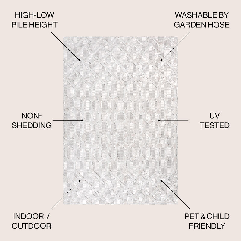 Peralta Moroccan Diamond Indoor/Outdoor Area Rug