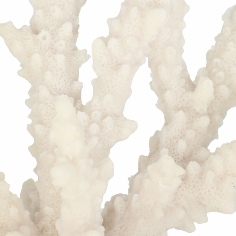 14" Branching Coral On Glass Base, White image number 4