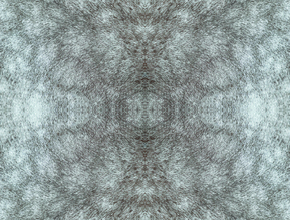 Rose Dapple Warm Grey Peel & Stick Wallpaper