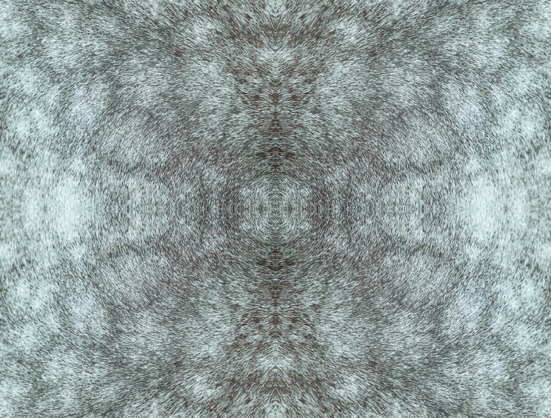 Rose Dapple Warm Grey Peel & Stick Wallpaper image number 0