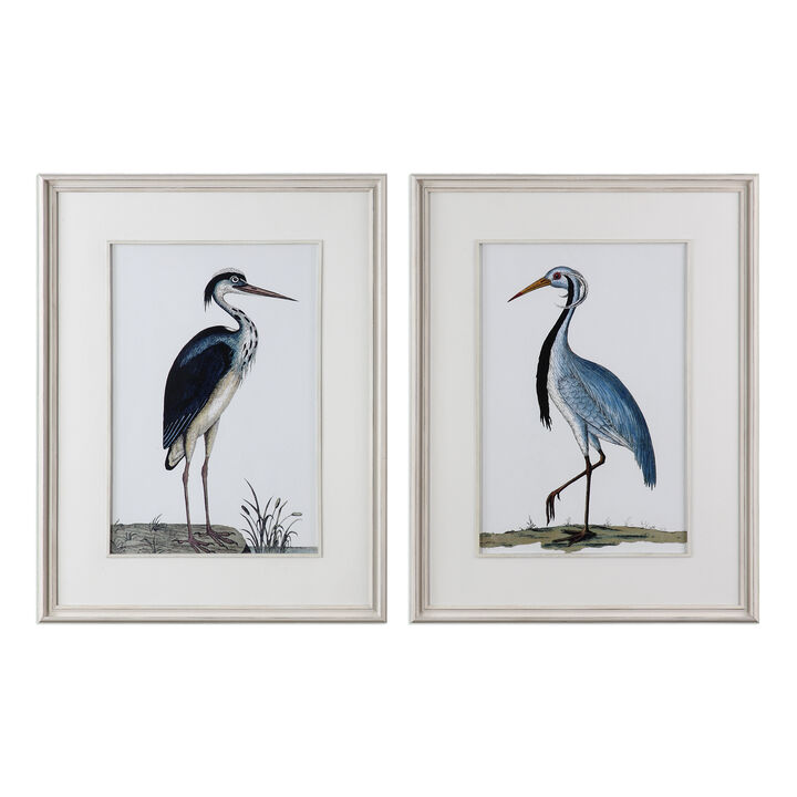 Shore Birds Framed Prints (Set of 2)