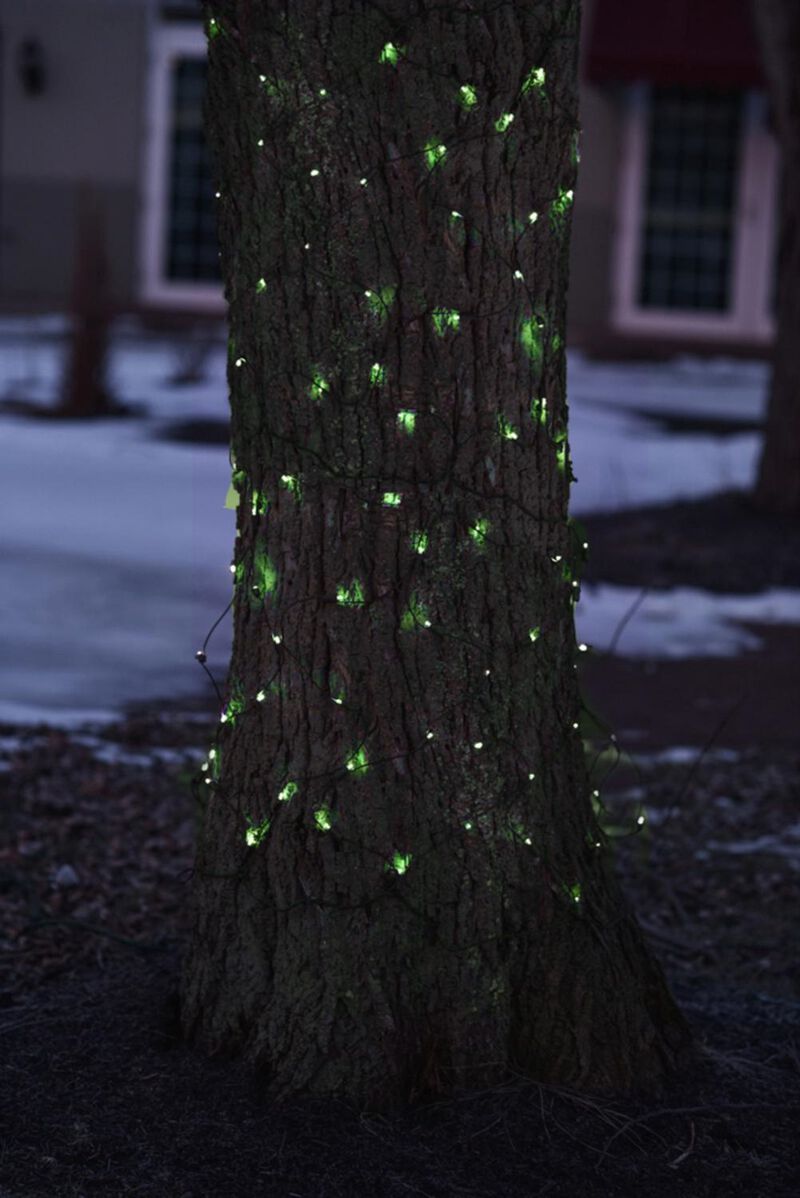 2' x 8' Green Mini Net Style Tree Trunk Wrap Christmas Lights - Brown Wire image number 2