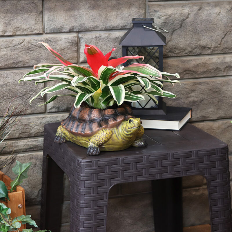 Sunnydaze Teddy the Tortoise 11 in Polyresin Outdoor Garden Planter