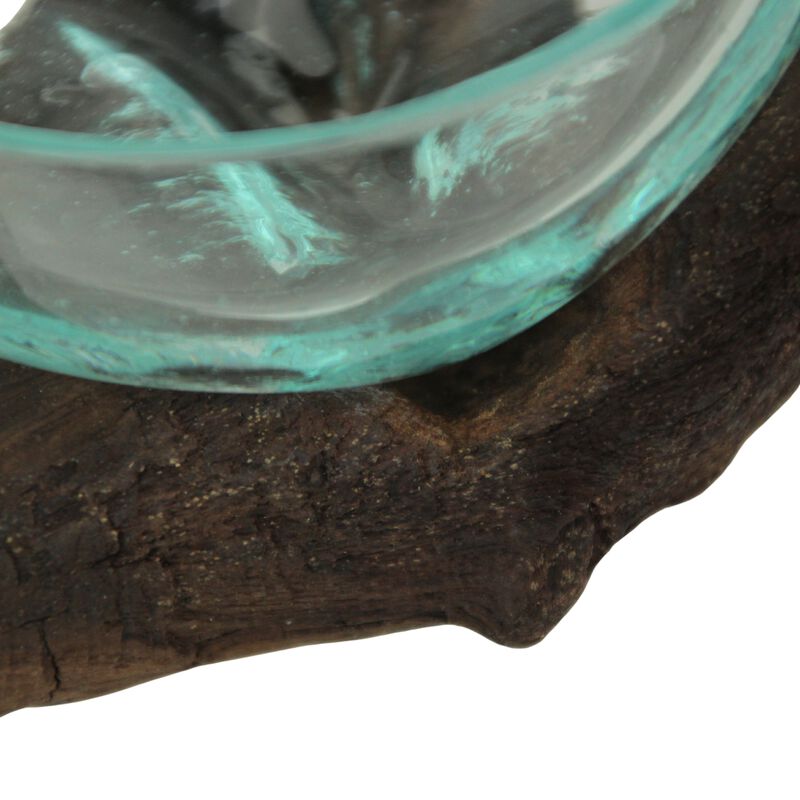 Glass and Teak Driftwood Bowl &ndash; 3.25&rdquo; High Decorative Succulent Centerpiece image number 3