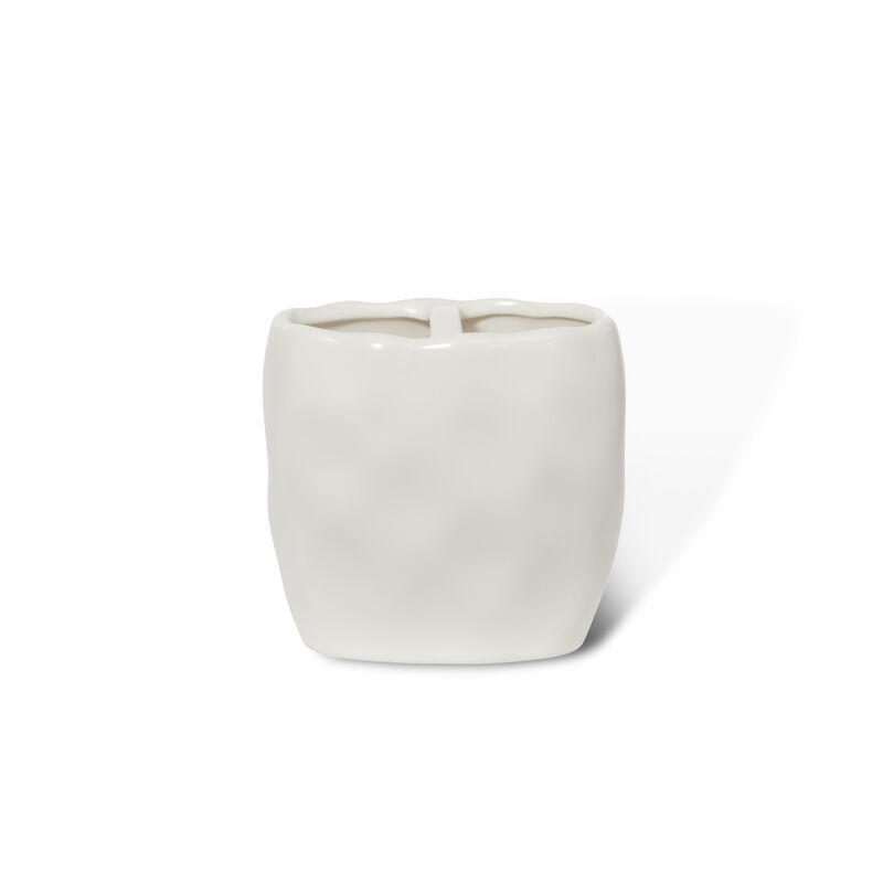 FRENCH IMPRESSIONS TOOTHBRUSH HOLDER image number 1