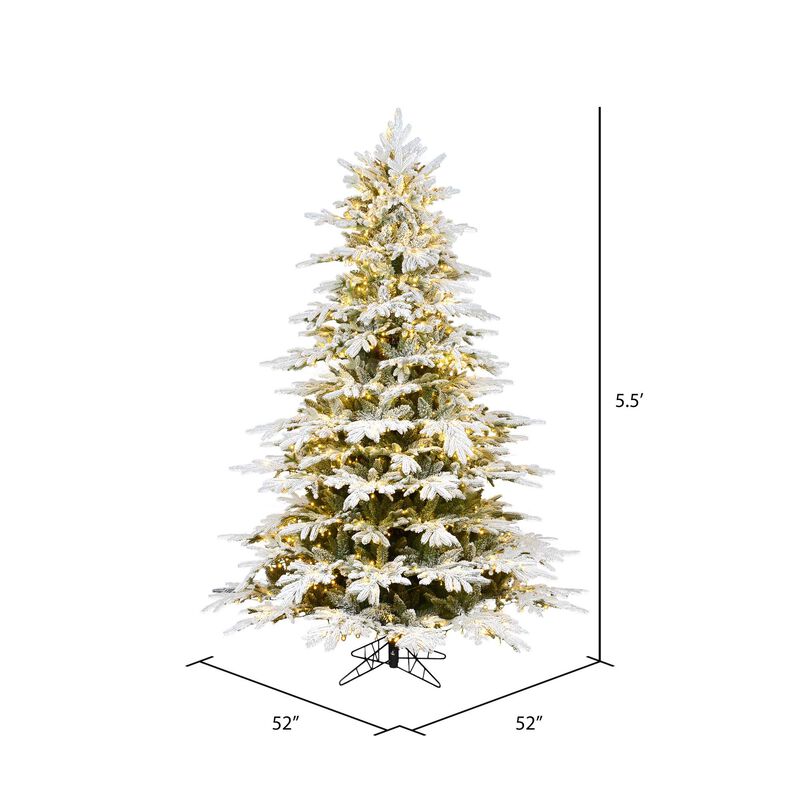 Vickerman Flk Kamas Fraser 3mm - image number 2