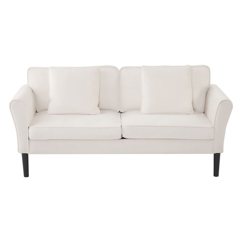 Velvet Loveseat Sofa, 2-Seater Couch for Living Room, Bedroom & Apartment image number 0