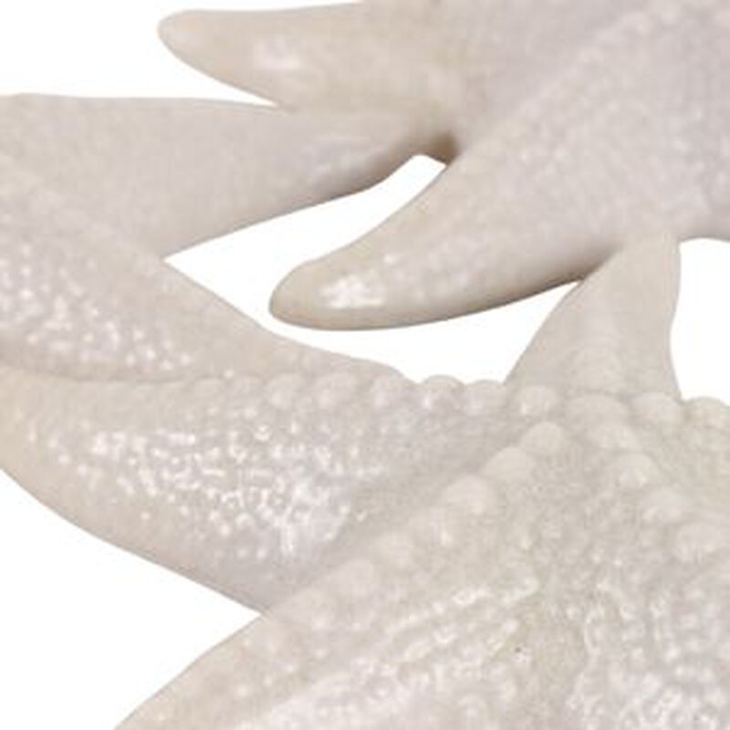 Set of 3 Resin Sand Starfish image number 2