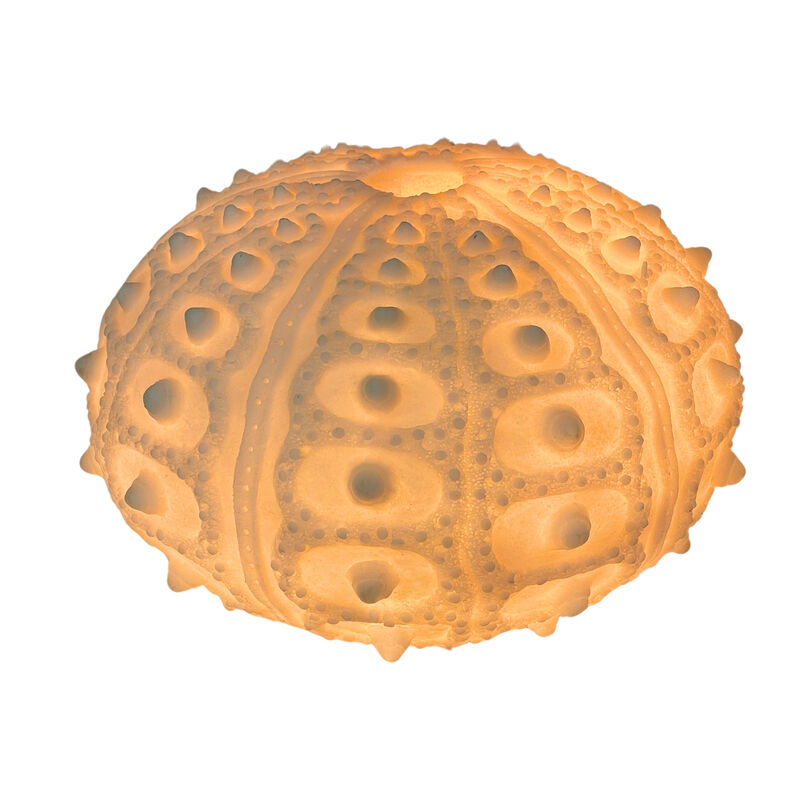 Coastal Sea Urchin Lamp, 12" Resin Sculpture with Warm Glow, Decorative Accent image number 5