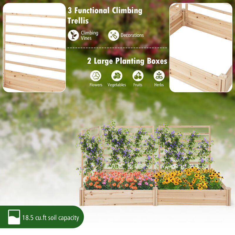 Raised Garden Bed with 2 Planter Boxes and 3 Trellis-Natural