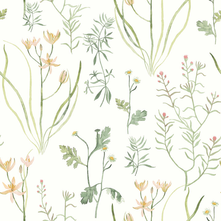 Alpine Botanical Peach Peel & Stick Wallpaper