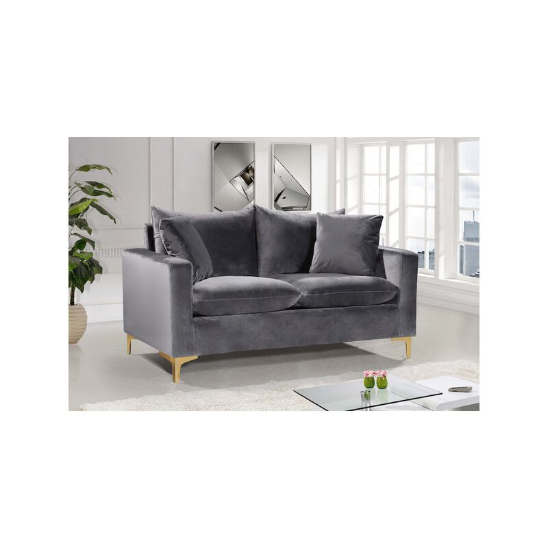 Meridian Furniture Naomi Grey Velvet Loveseat