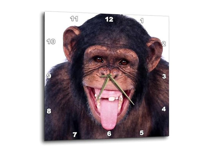 Laughing Monkey Wall Clock 10 Inch Home Decor image number 0