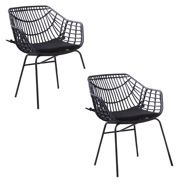 Niya Patio Chair Set of 2, Polyester, Black Steel, Outdoor Rattan Wicker - Benzara