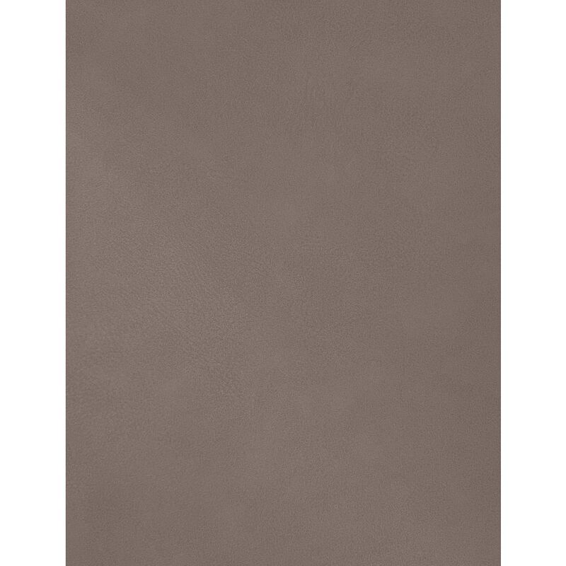 Meridian Furniture Hudson Brown Vegan Leather Twin Trundle Bed