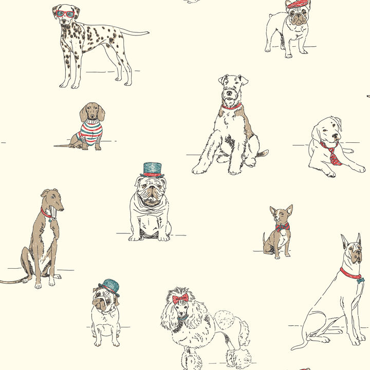 Dog's Life Red & Blue Wallpaper