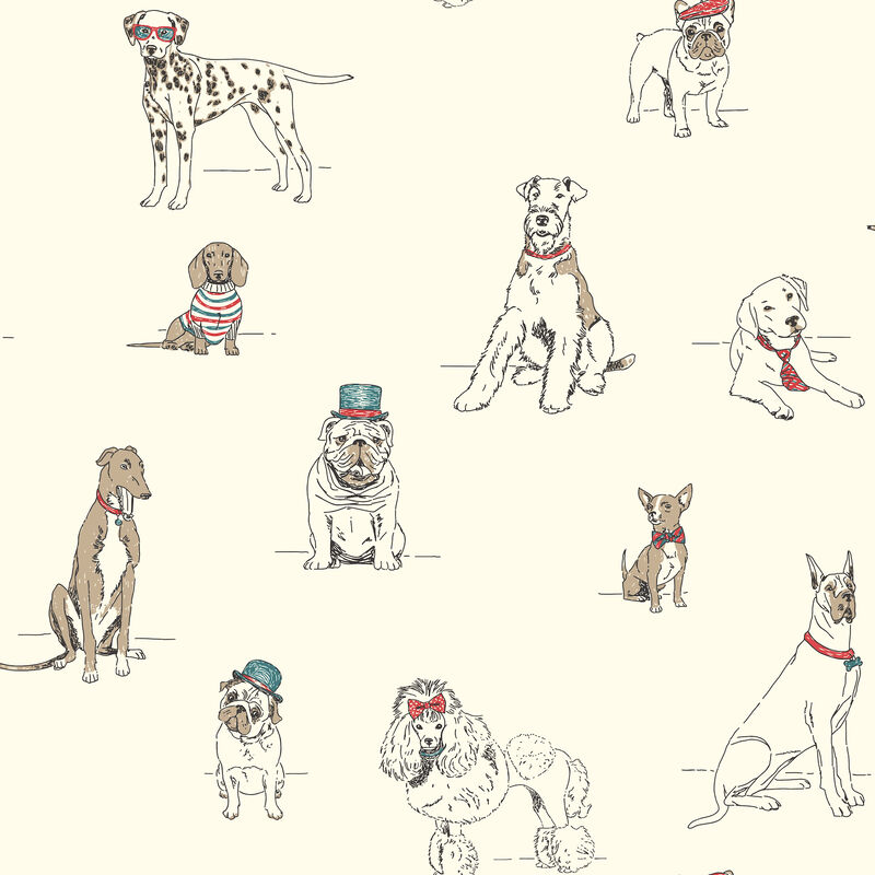 Dog's Life Red & Blue Wallpaper image number 0
