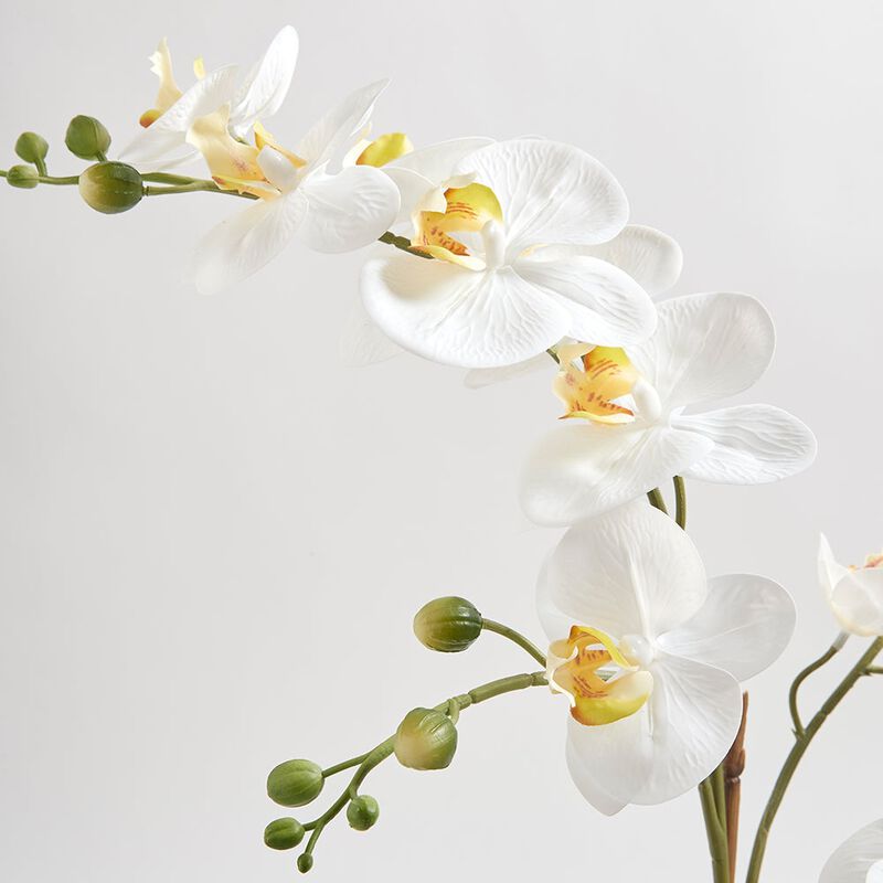 Artificial Orchid with Succulents image number 3