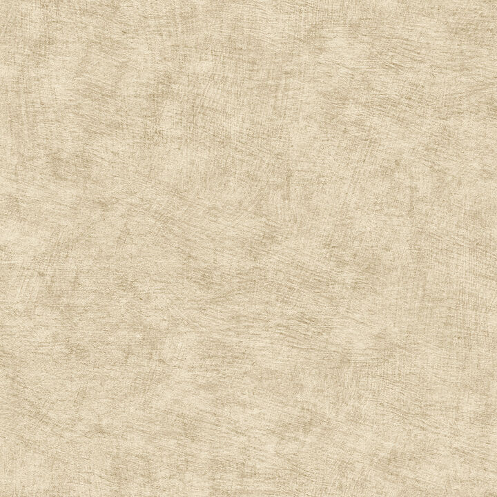 Pampas Plain Brushed Texture Wallpaper