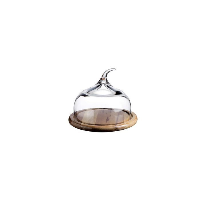 Senses&trade; Small Glass Dome with Wood Base