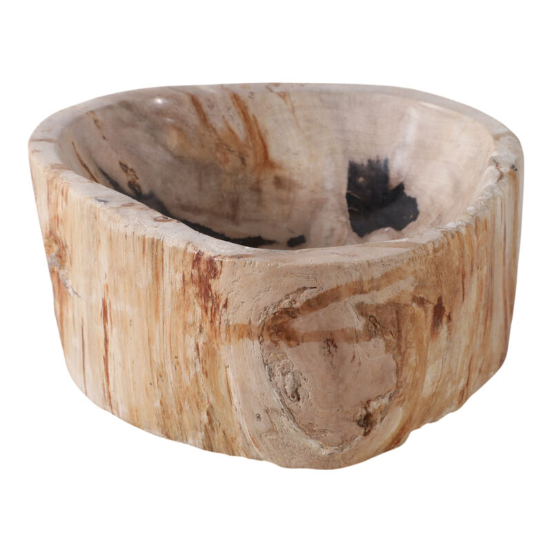 9x4" Petrified Wood Bowl, Ivory/tan image number 0