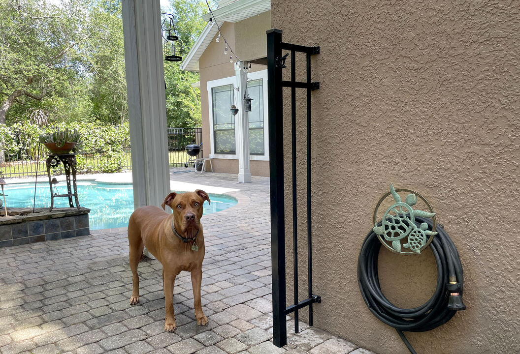Verdigris Bronze Finish Cast Iron Sea Turtle Wall Mounted Garden Hose Holder