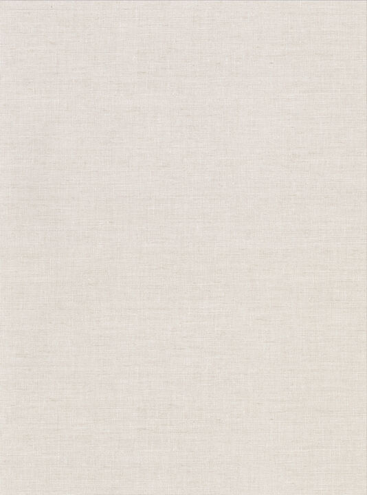 Avatar White Texture Wallpaper