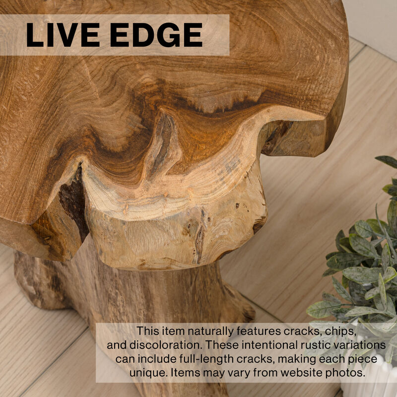 Amara Rustic Modern Handcrafted Live Edge Solid Teak Wood Stump Stool image number 8