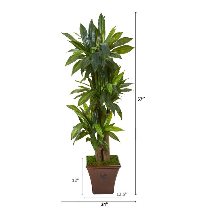 HomPlanti 57" Corn Stalk Dracaena Artificial Plant in Brown Planter (Real Touch)