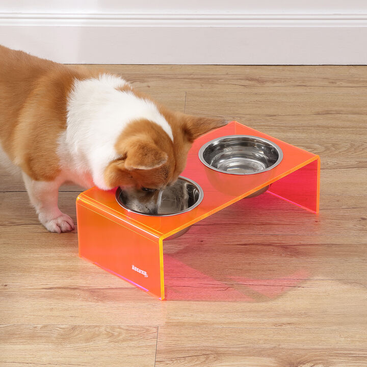 Keaton Modern Acrylic Rectangular Elevated Pet Feeder with Stainless Steel Bowls