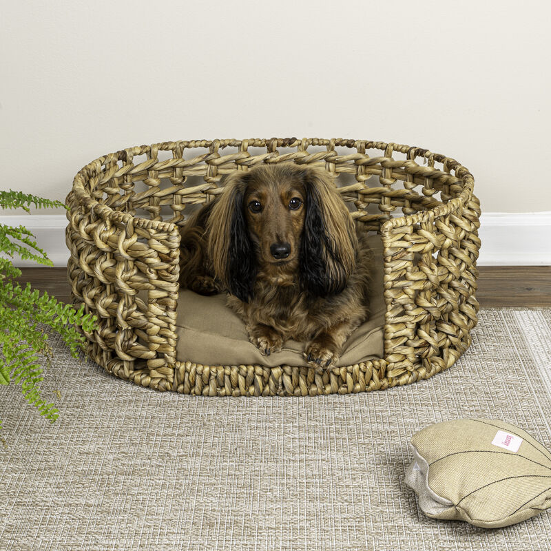 Gigi Modern Bohemian Handwoven Hyacinth Open-Weave Oval Pet Bed with Machine-Washable Cushion