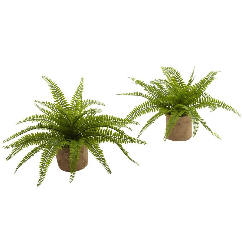 Hivvago Boston Fern w/Burlap Planter (Set of 2)