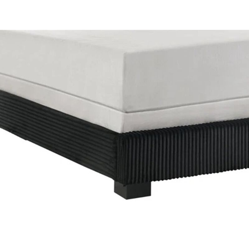 Geny King Size Bed w Channel Tufted Headboard, Silver Trim, Black