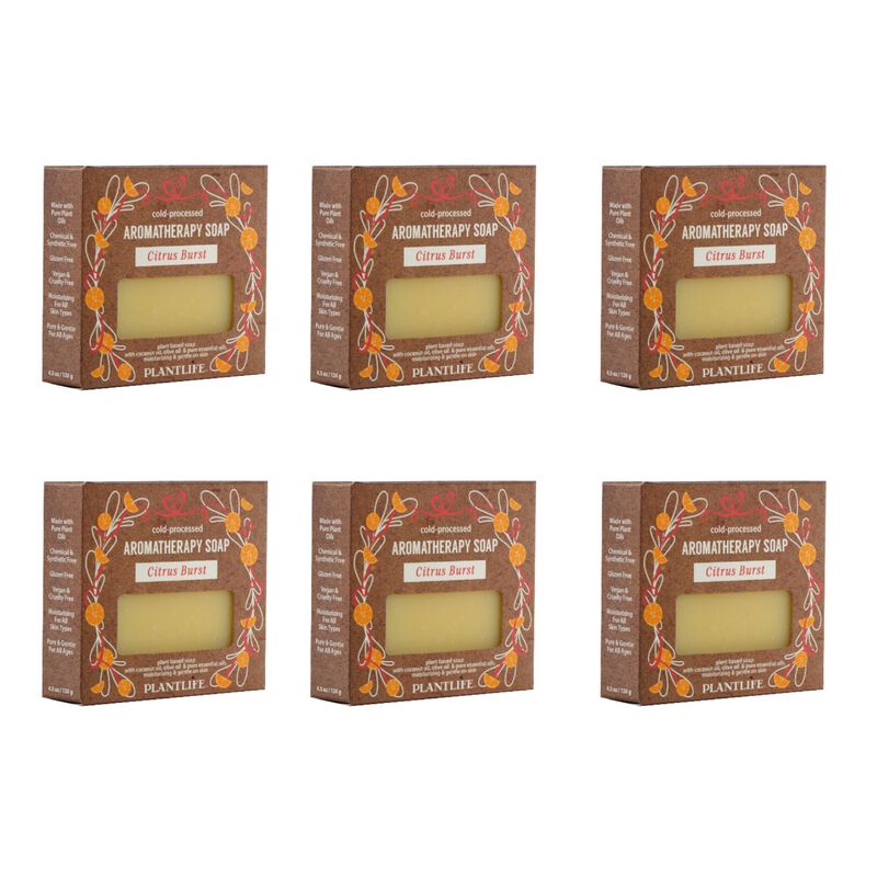 Plantlife Bar Soap - Citrus Burst 6 Pack image number 2