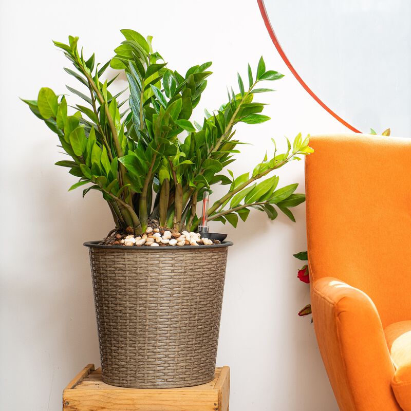13 in.Gray Wicker Self-watering Planter image number 1