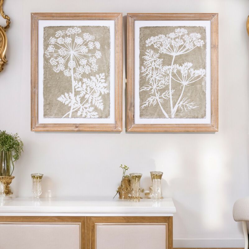 Framed Queen Anne's Lace And Fern Wall Art (Set of 2)