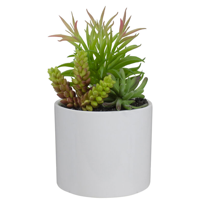 9" Artificial Succulent Arrangement in White Ceramic Pot
