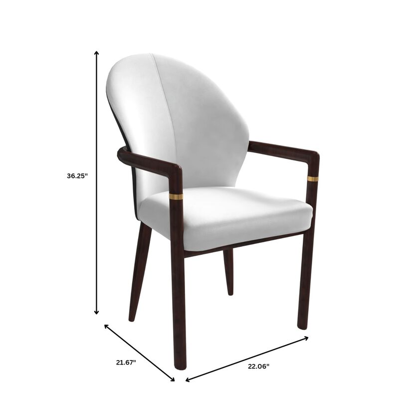 LeisureMod Dining Chair Velvet Fabric Kitchen Chair Ergonomic Armchair with Rubberwood Base and Gold Accents Padded Seat and Back for Modern Home and Office Opaline Series